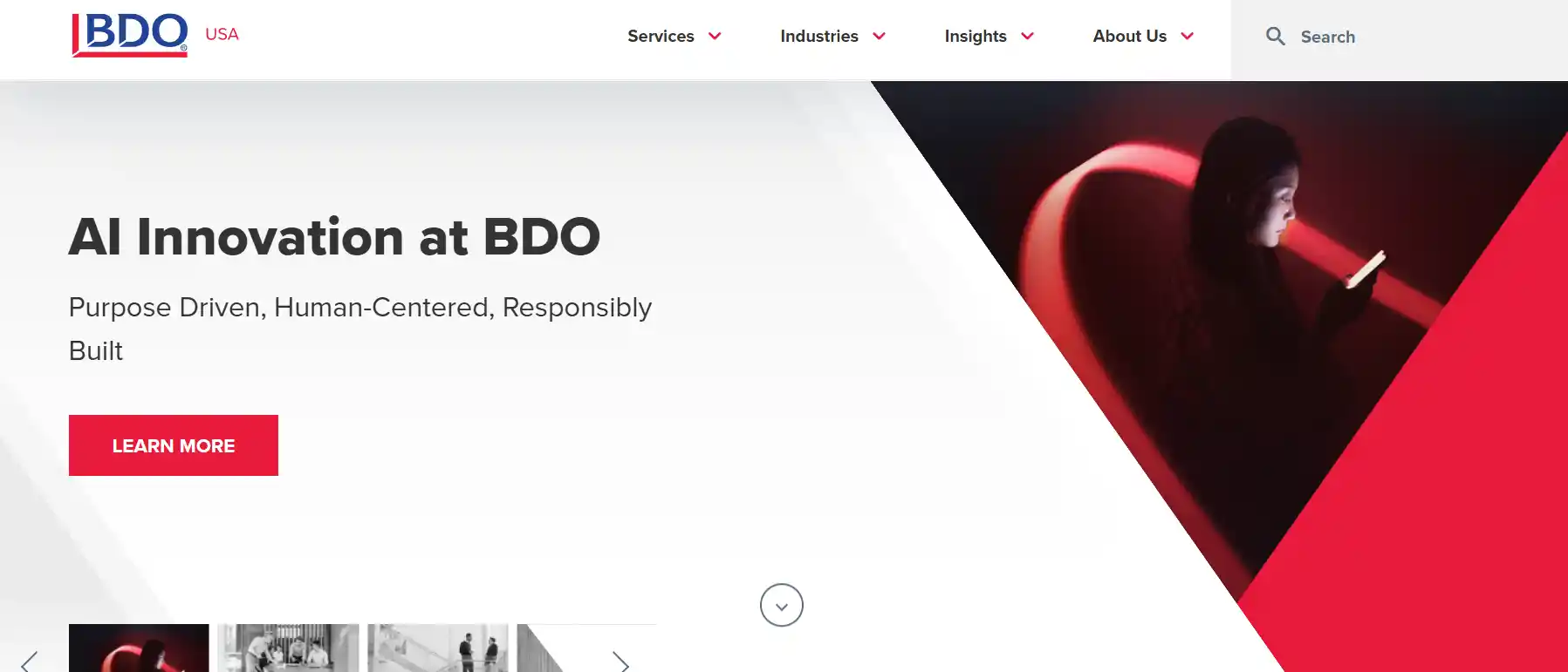 bdo usa homepage