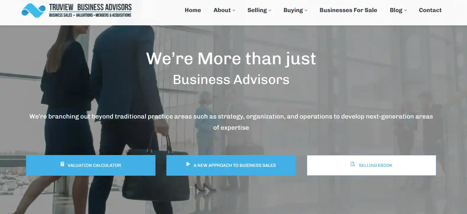 trueview business advisors review website