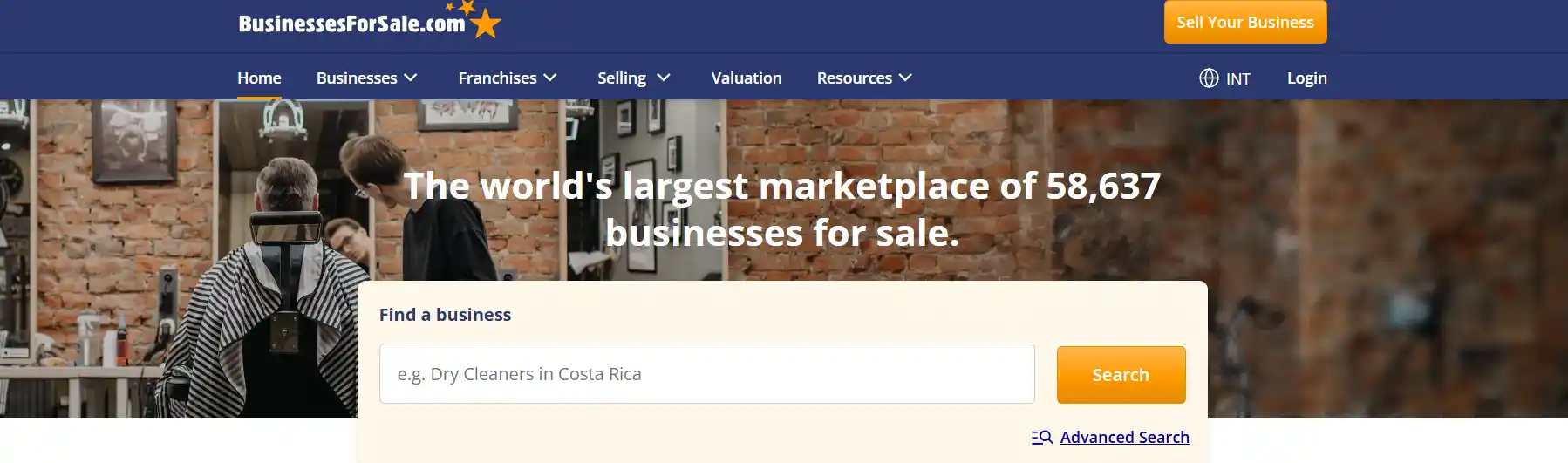 business for sale website