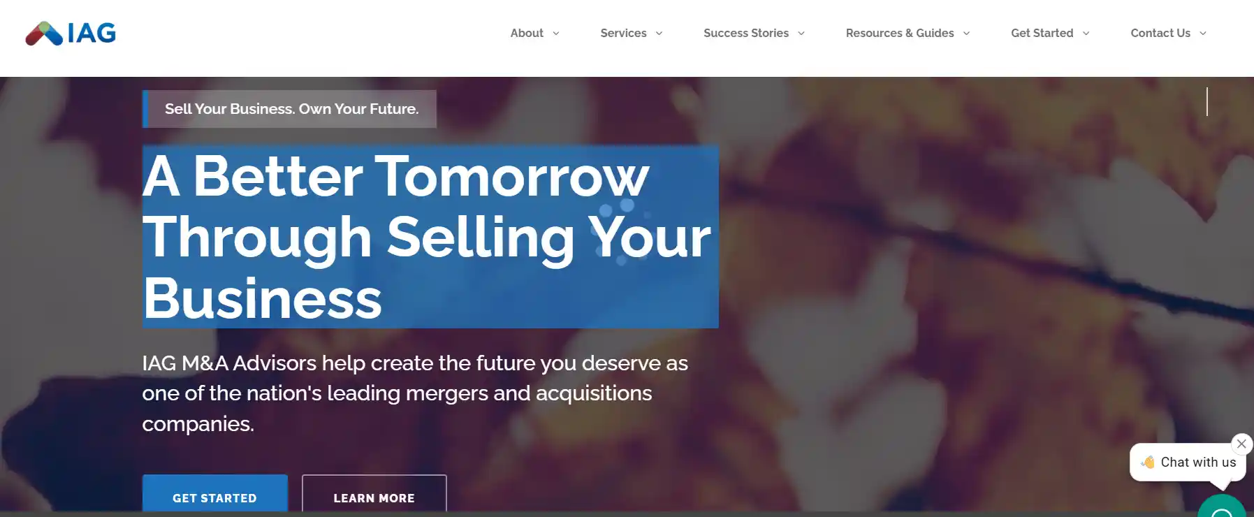 iag ma advisors website