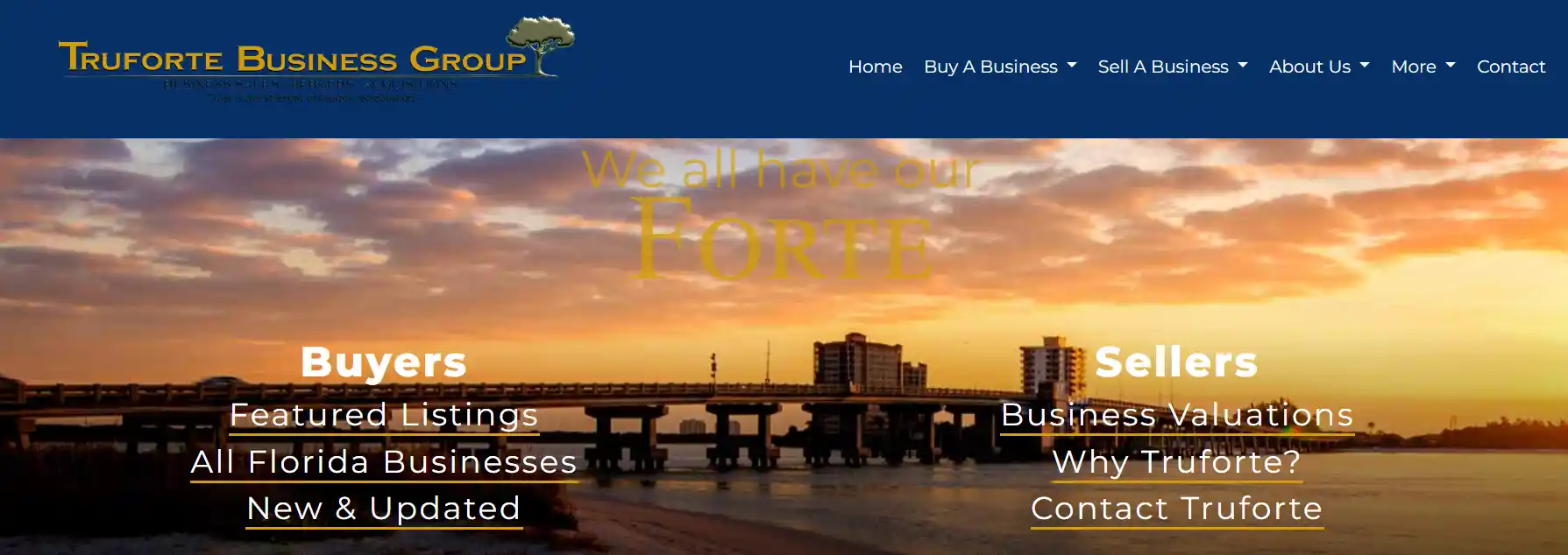 truforte business group